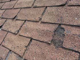 williams-roofs-new-roof-clues-curled-shingles