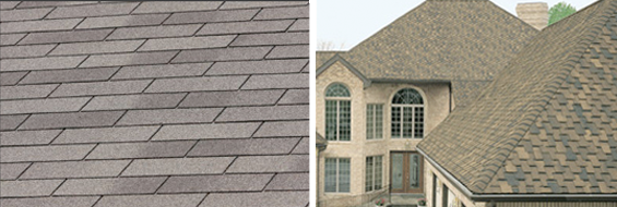 williams-roofs-services-shingles